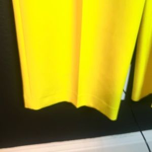 Express Super High Waisted Pleated Wide Leg Pants NWT size 0regular length